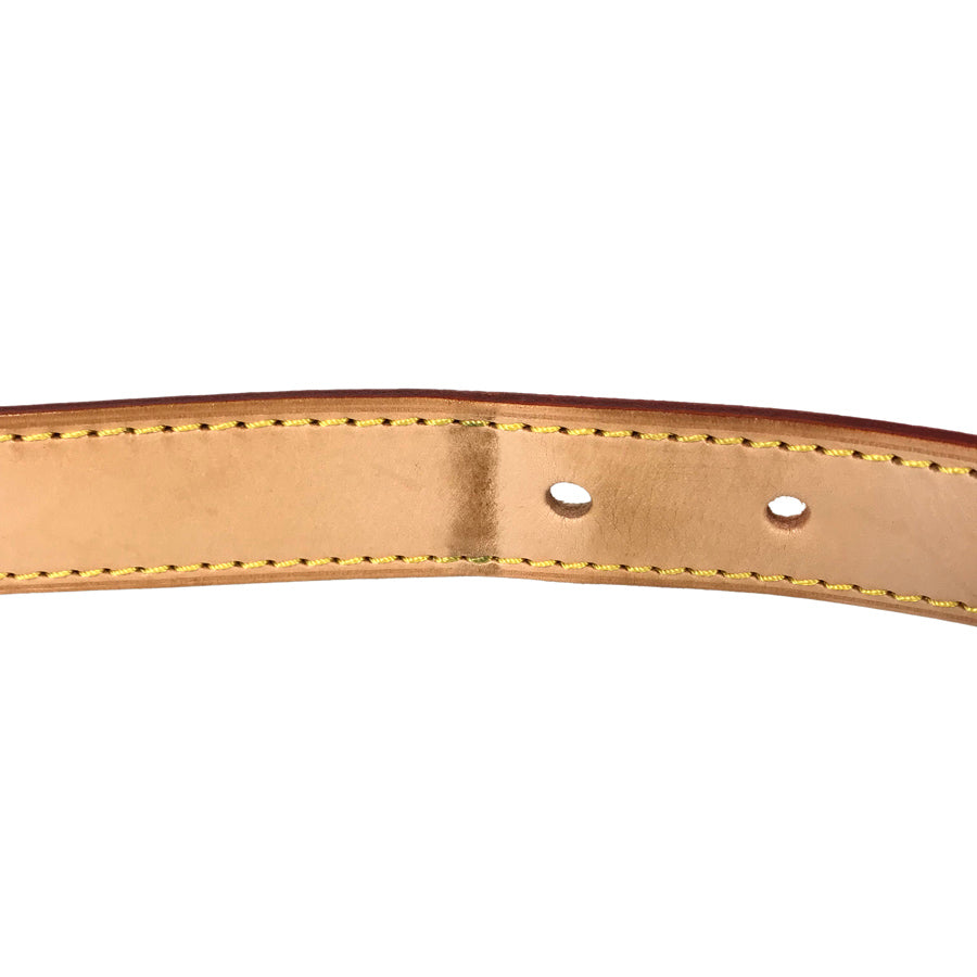 LOUIS VUITTON Monogram Hudson GM Shoulder Bag