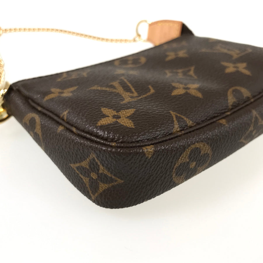 LOUIS VUITTON Pouch