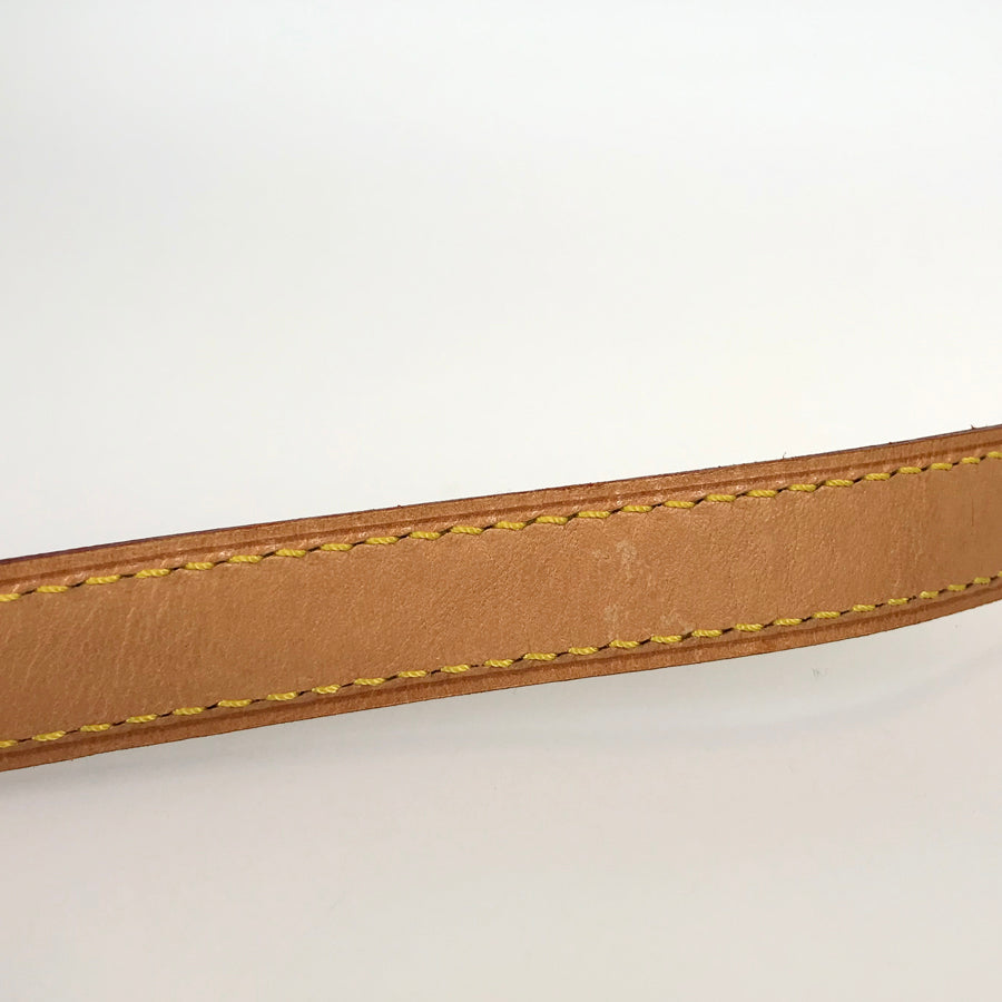 LOUIS VUITTON Monogram Viva CitePM Shoulder Bag