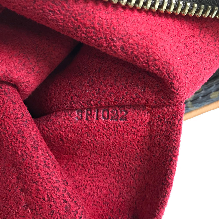 LOUIS VUITTON Monogram Pochette Croissant Shoulder Bag