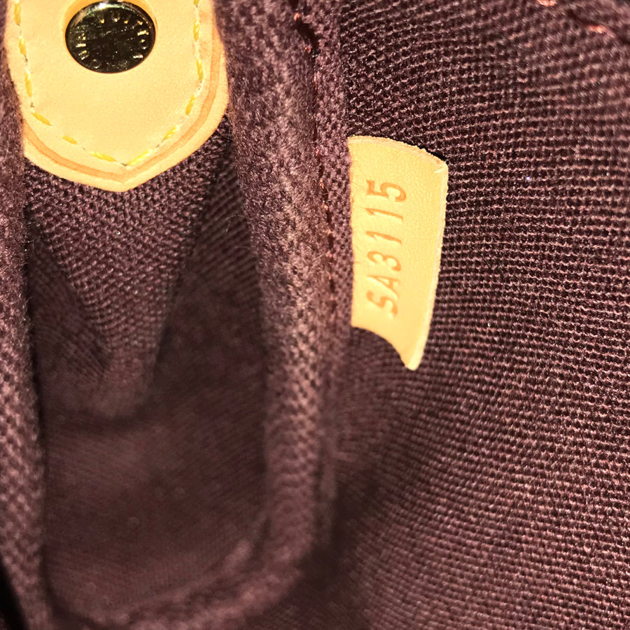 LOUIS VUITTON Pouch 2WAY Shoulder Bag