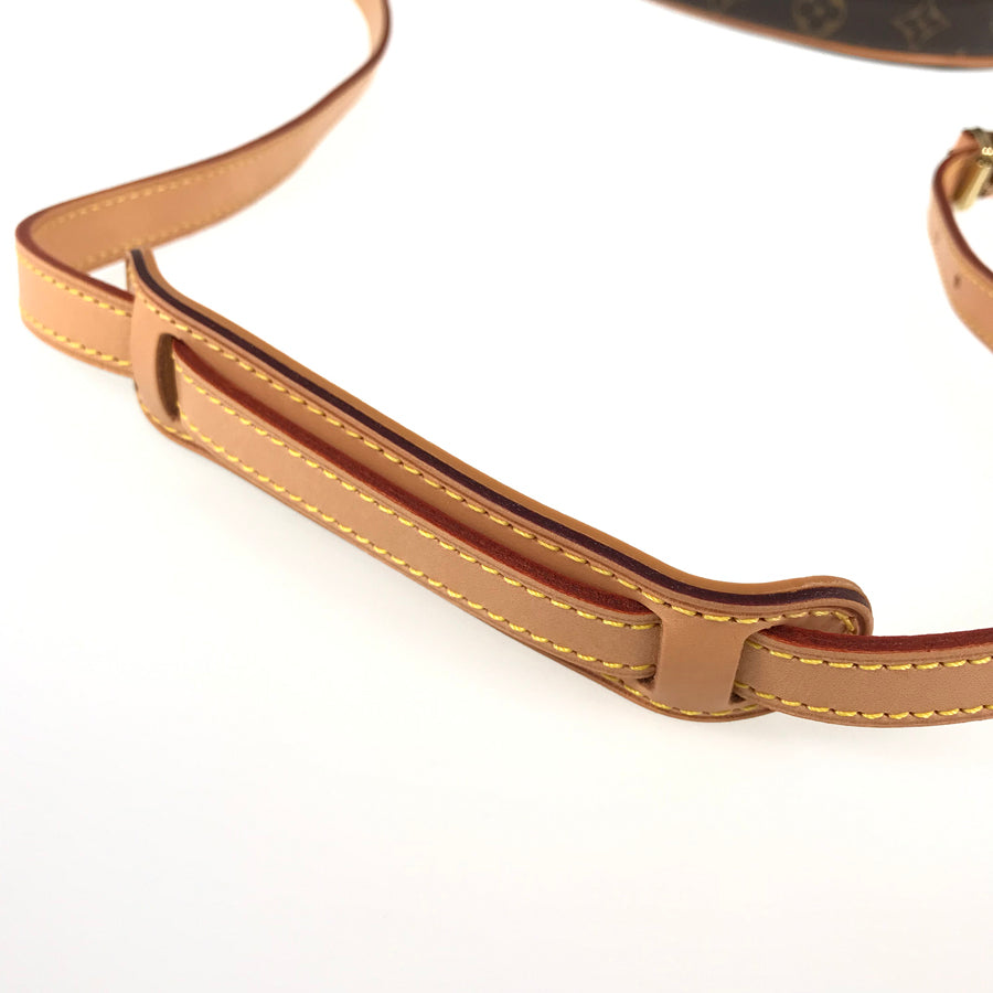 LOUIS VUITTON Monogram Blower M51221 Shoulder bag