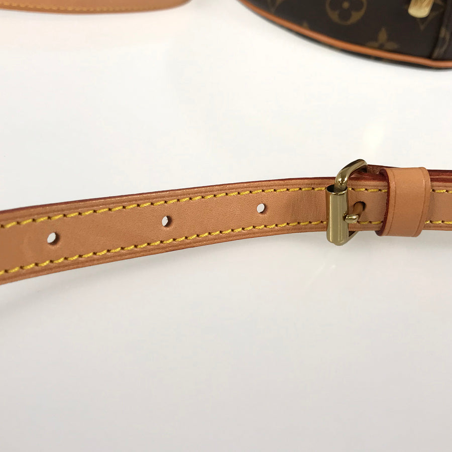 LOUIS VUITTON Monogram Blower M51221 Shoulder bag