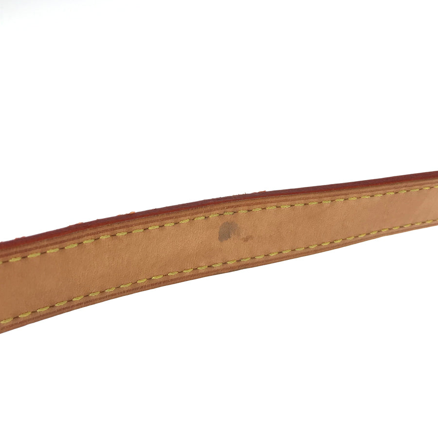 LOUIS VUITTON Monogram Multicolor Sologne Shoulder Bag